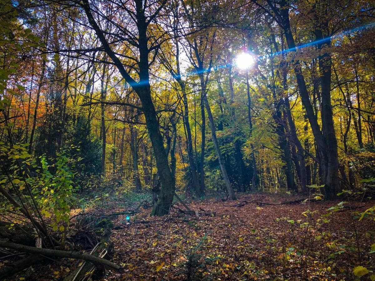 Hexenhaeuschen Dreieichenhain Buitenkant foto